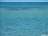 Playa Combate - CABO ROJO